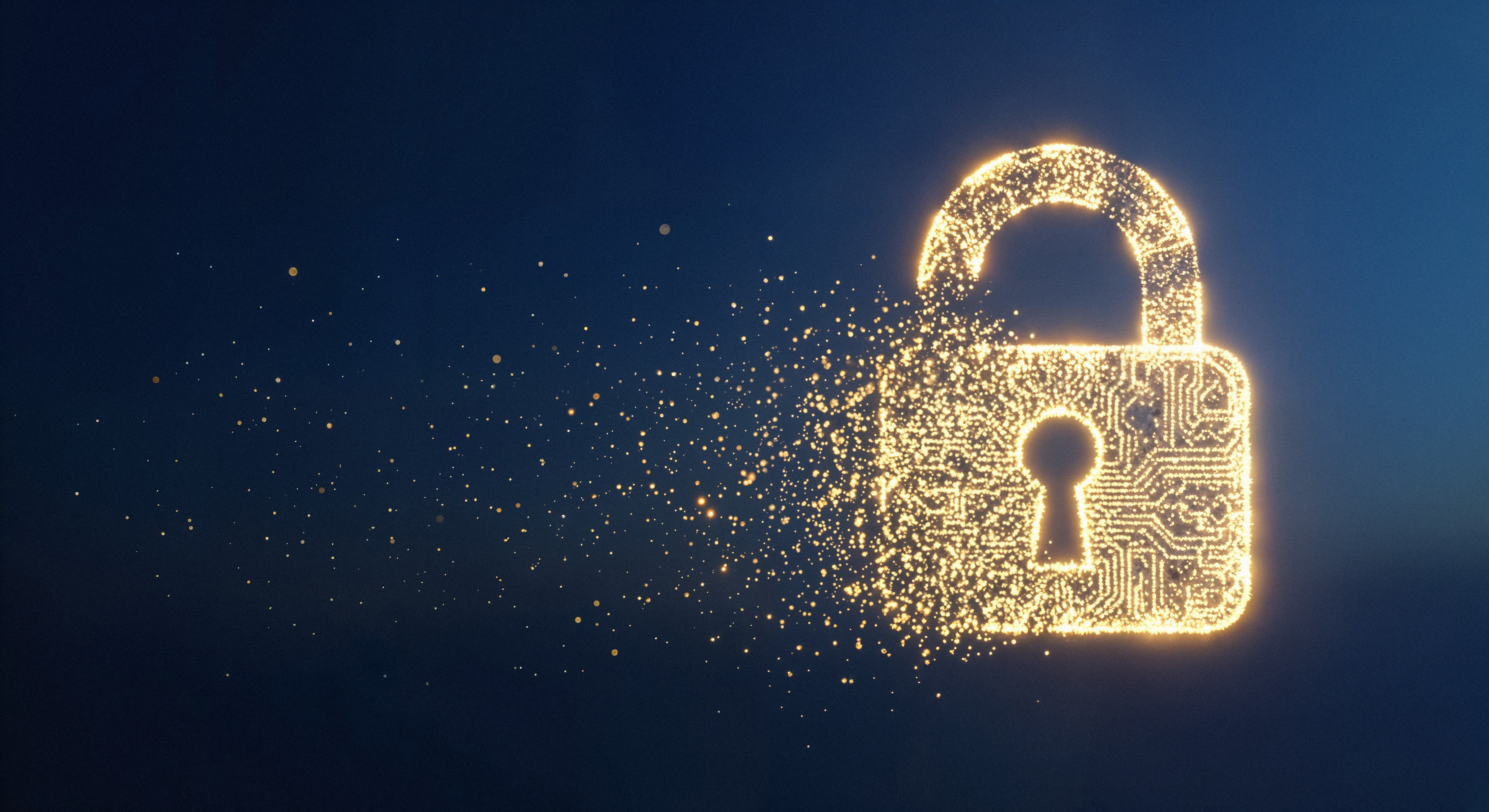 Protect your privacy